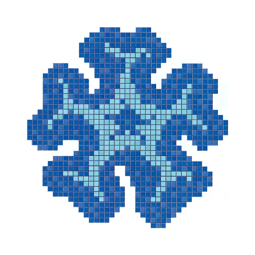 DESENLER | Deniz Yıldızı