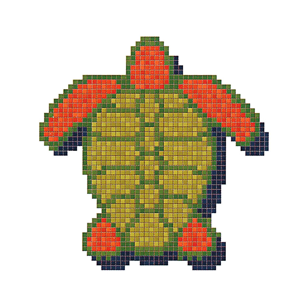 DESENLER | Deniz Kaplumbağası