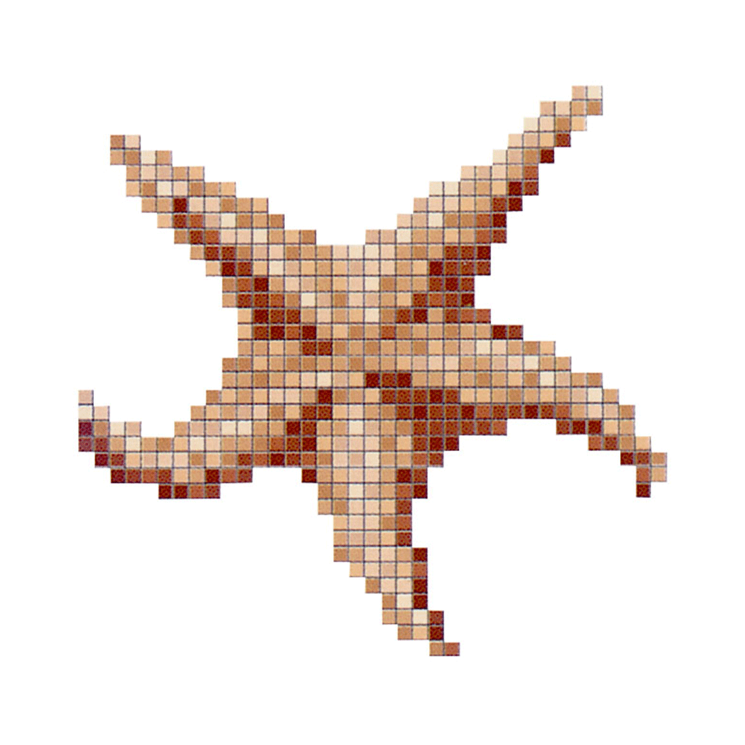 DESENLER | Deniz Yıldızı