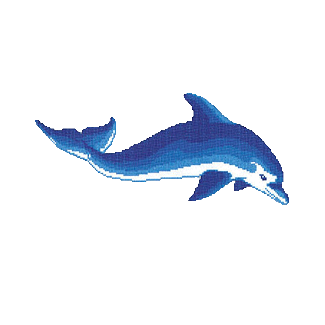 DESENLER | Yunus Balığı