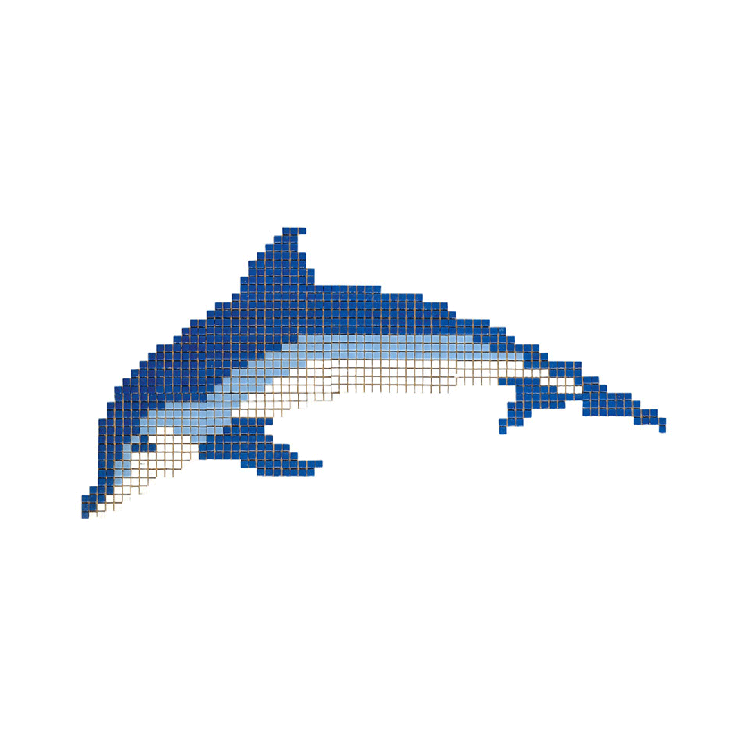 DESENLER | Yunus Balığı